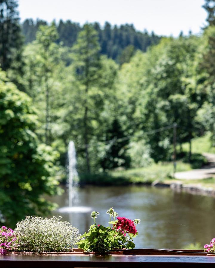 Hotel Lauble Hornberg